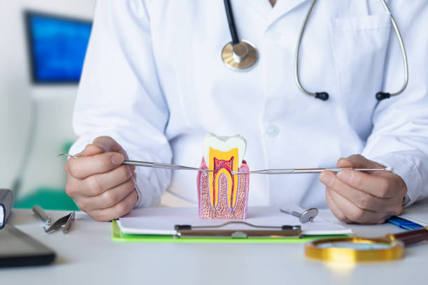 Best Emergency Treatment for Dental Infections or Abscesses in Farmland, IN